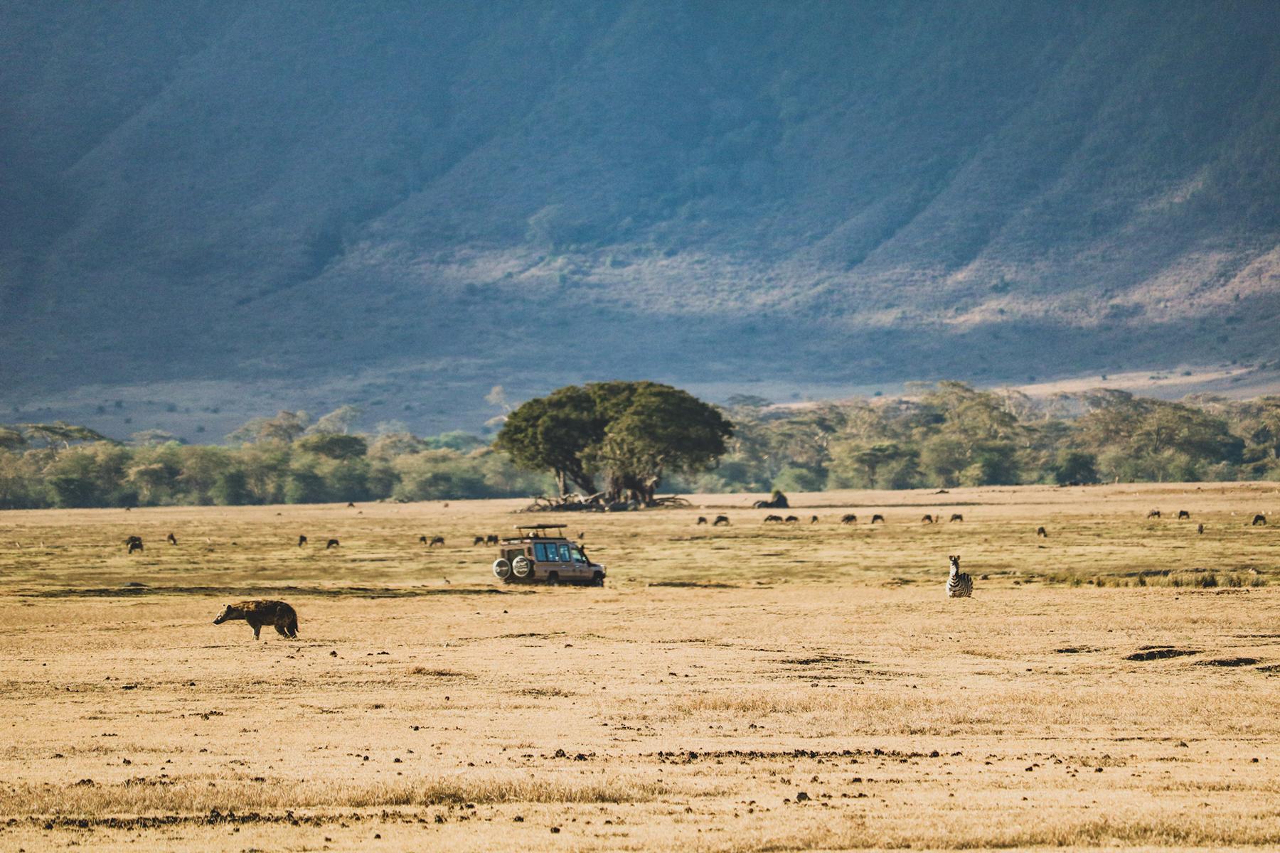 Afrika ergänzend (6)