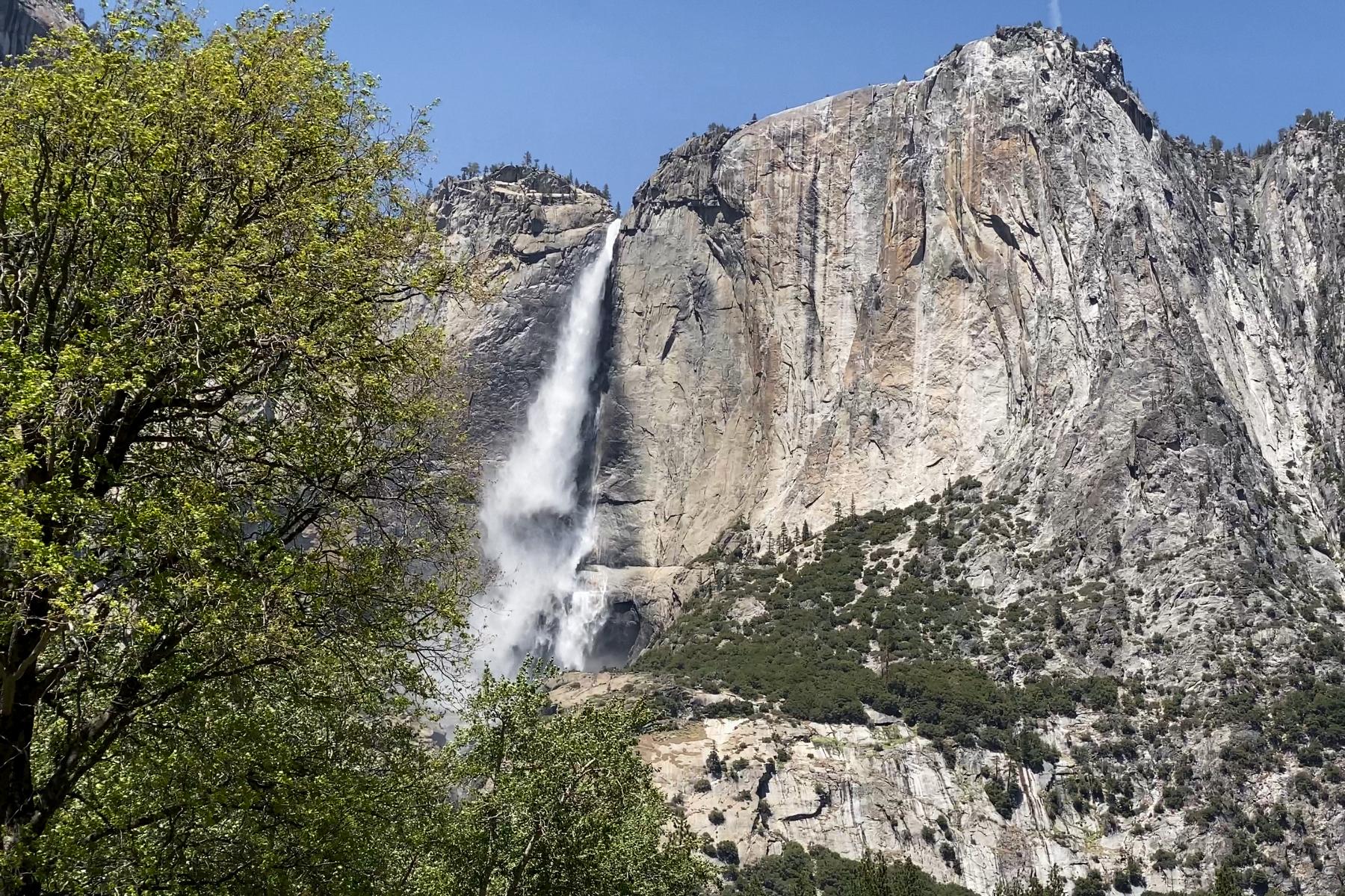 Yosemite (4)