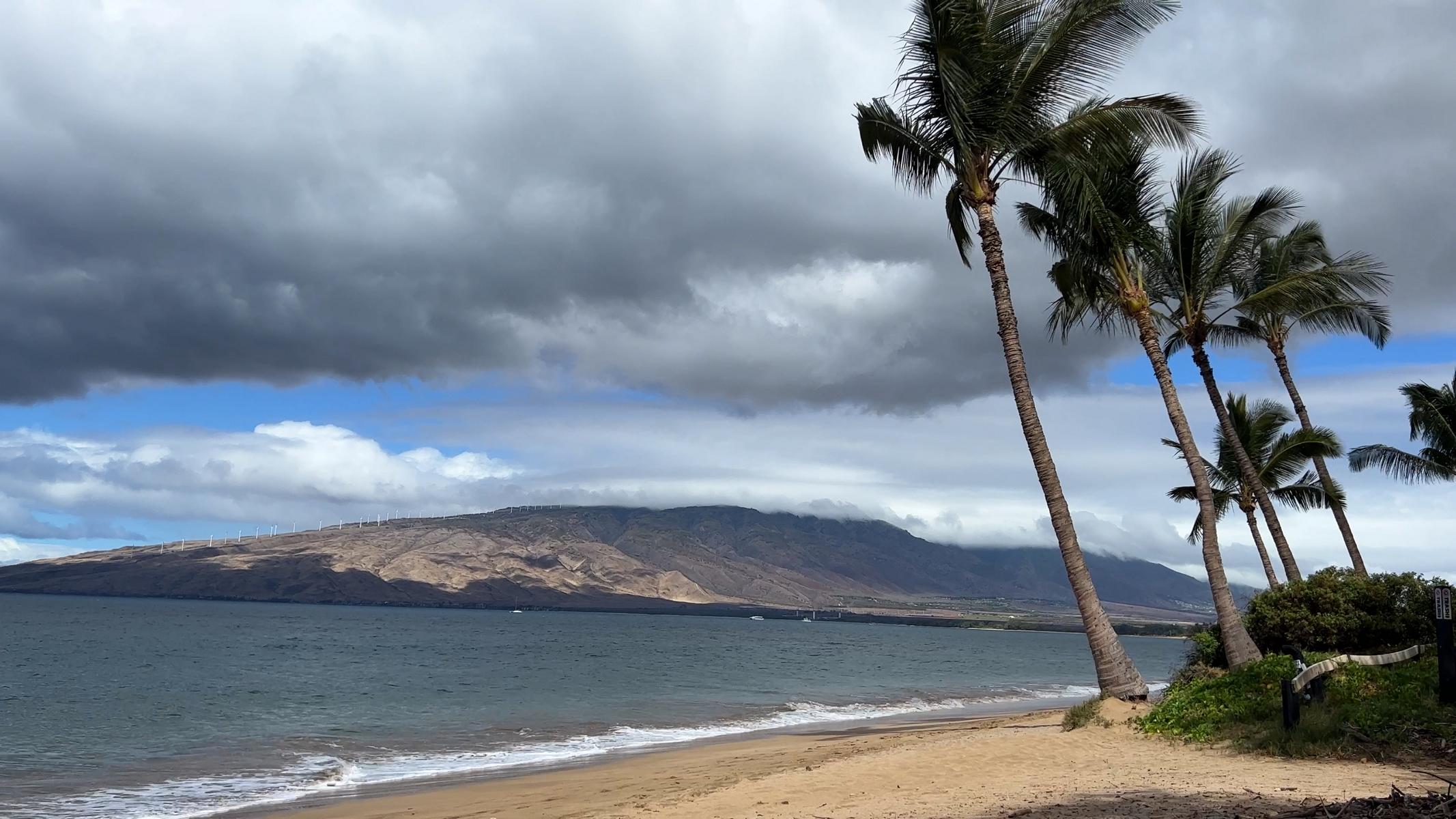 Maui (3)