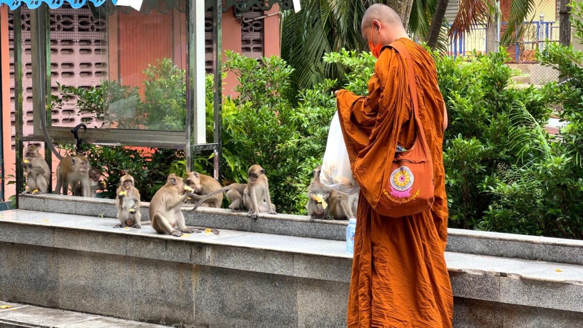 Thailand Phuket Krabi (22)