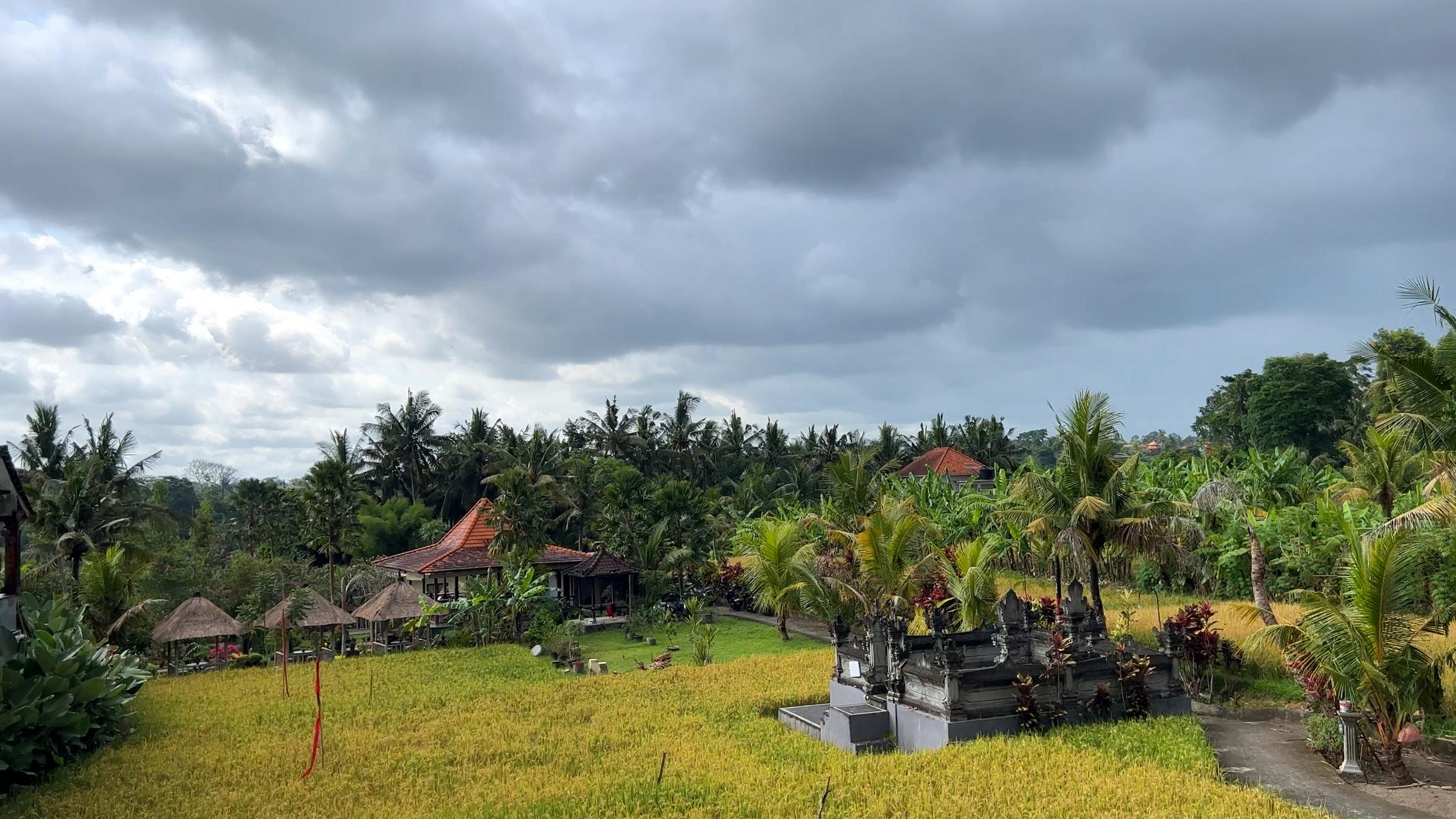 Bali (44)