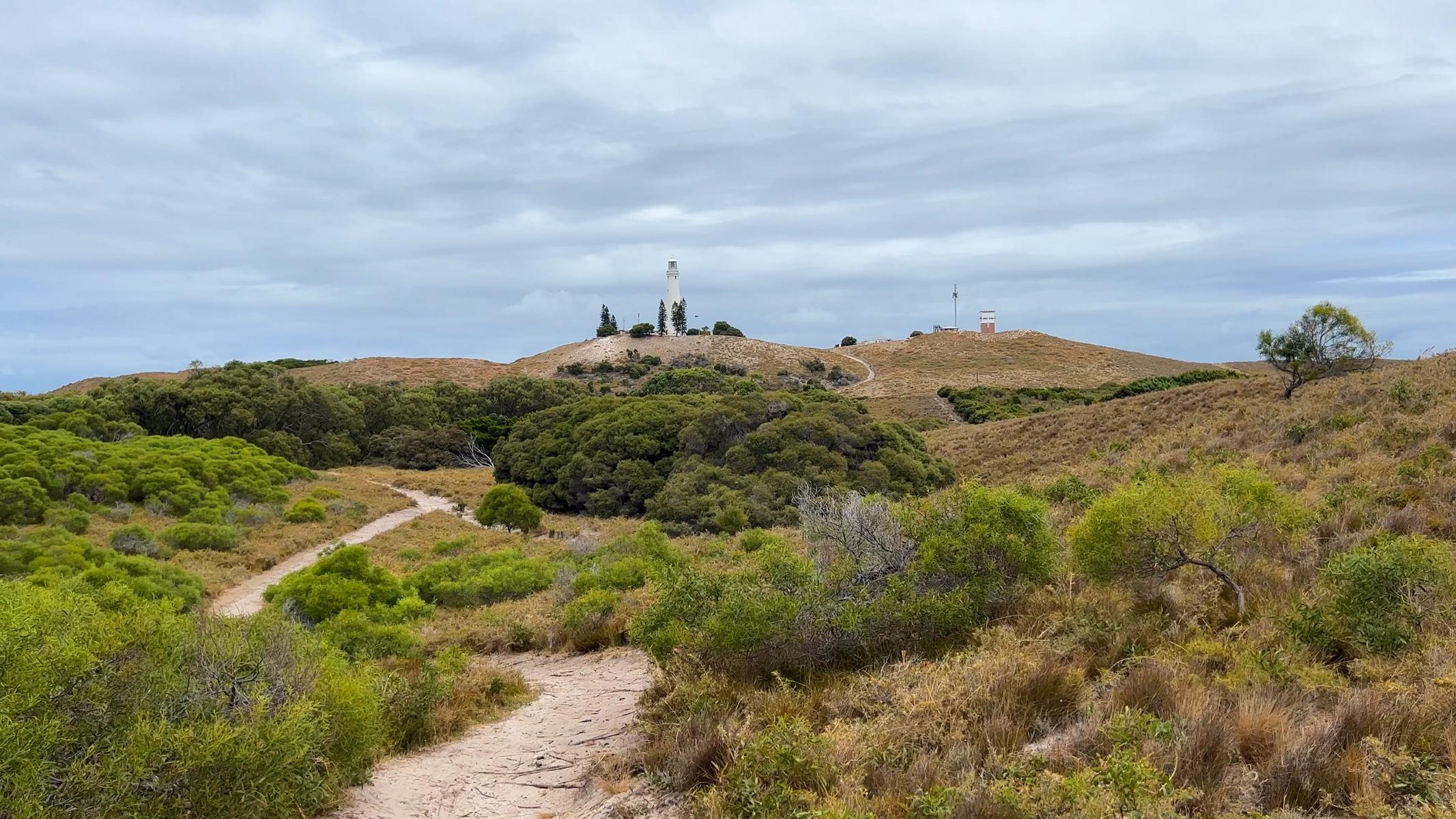 Rottnest (9)