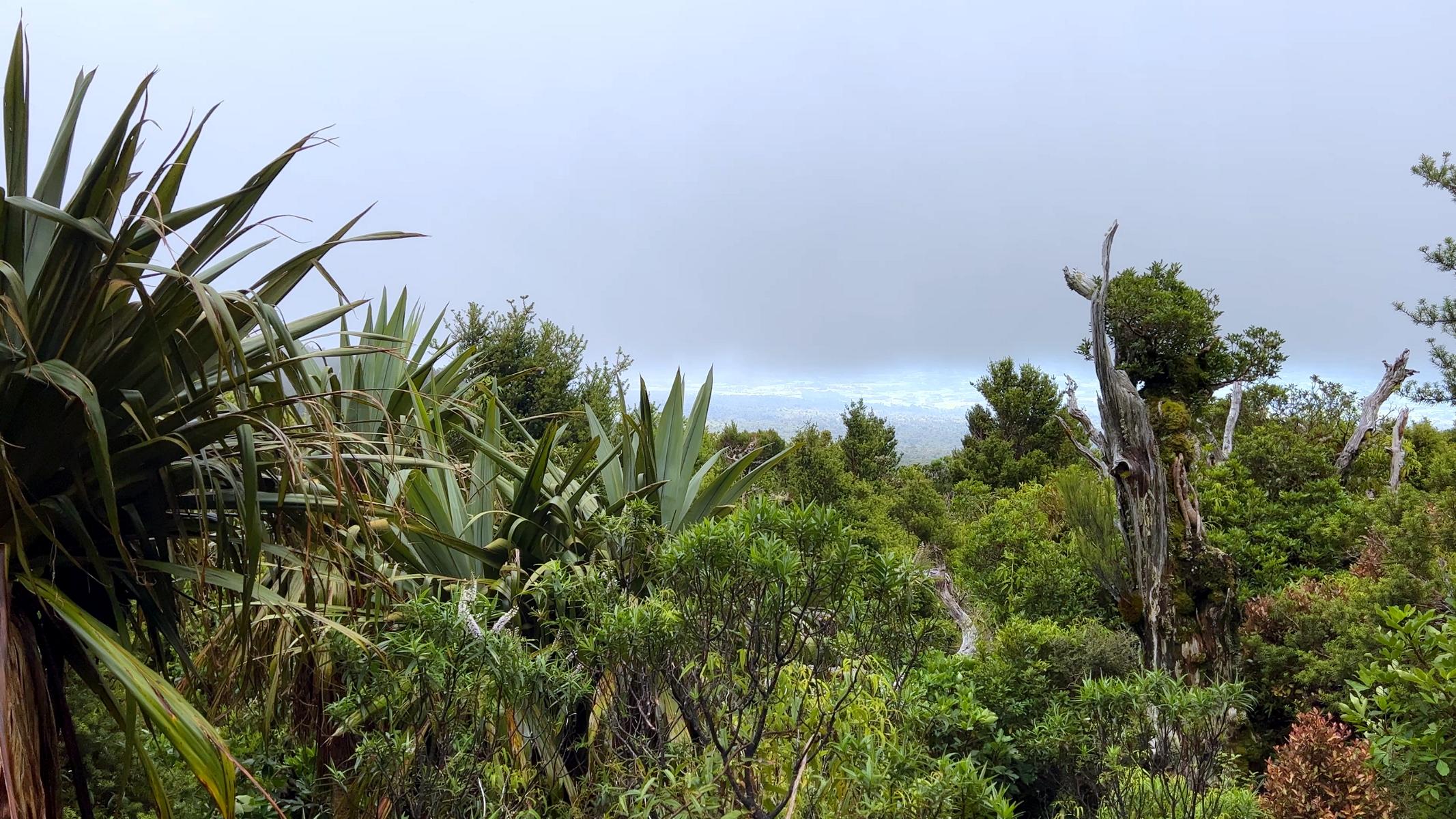 Taranaki Egmont (17)