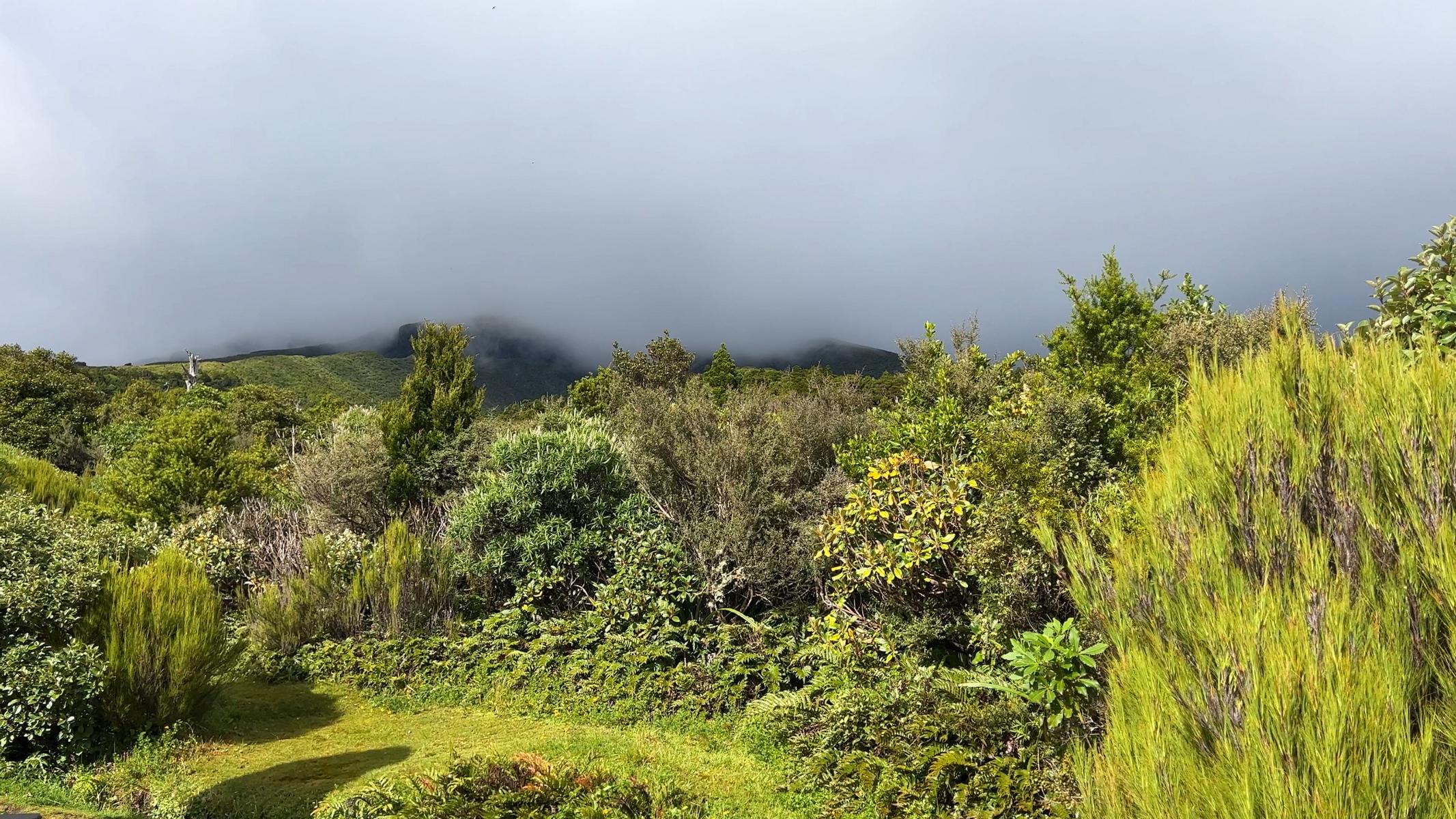 Taranaki Egmont (6)