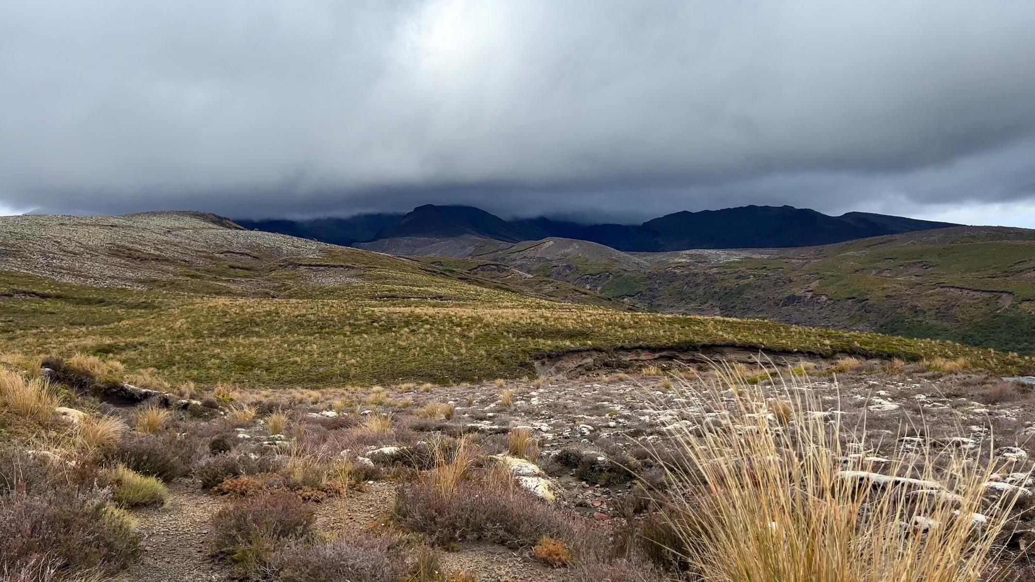 Tongariro (6)