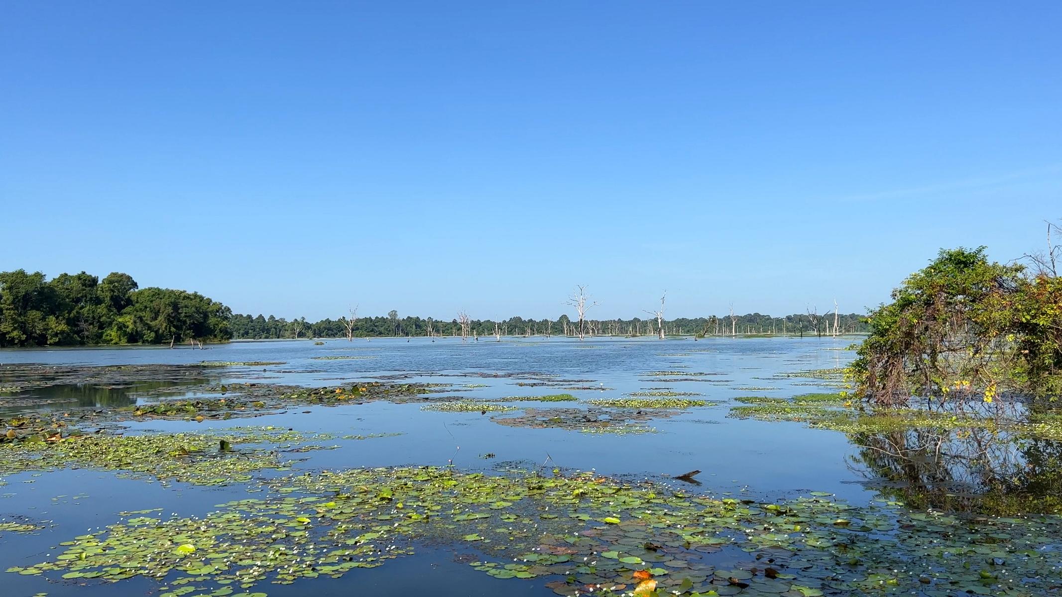 Angkor (25)