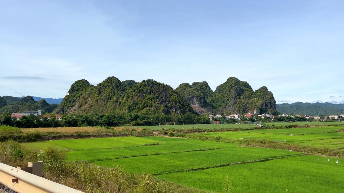 Phong Nha (1)