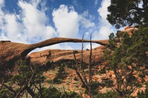 Arches (24)