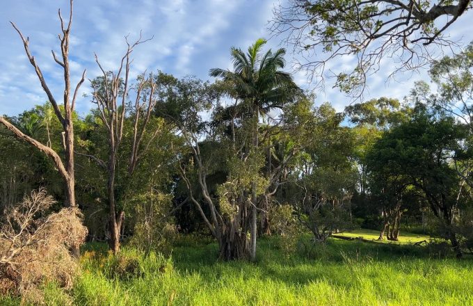 Bundaberg (11)