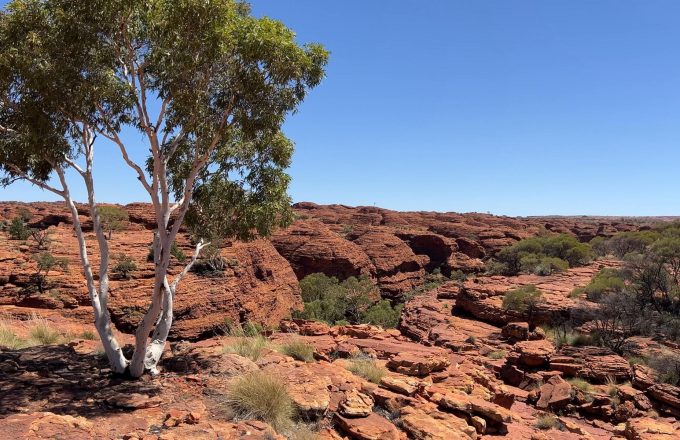 KingsCanyon (20)
