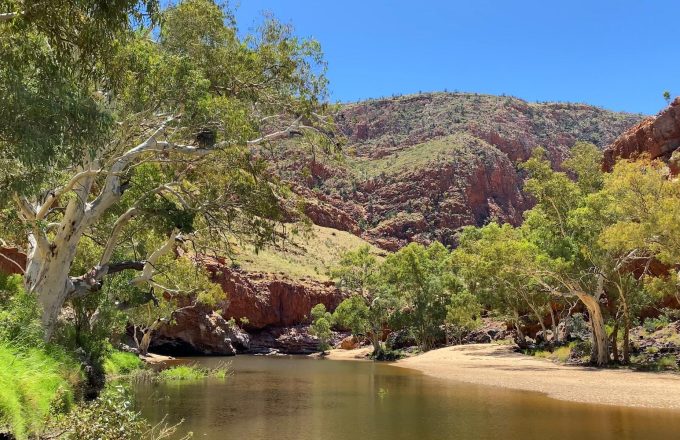 WestMacDonnell (16)